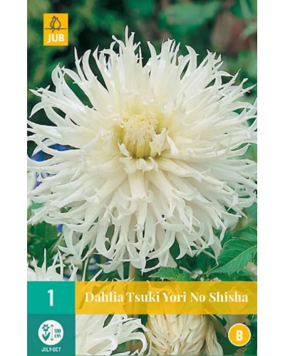 Dalii Tsuki Yori No Shisha