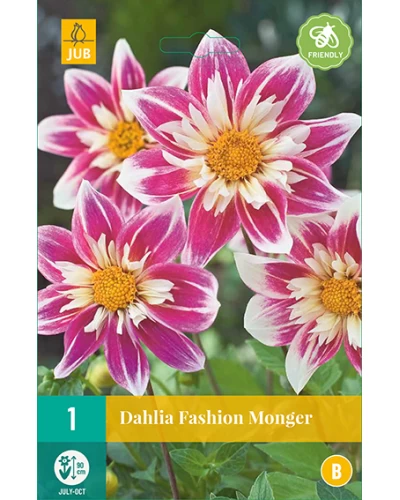 Dalii Fashion Monger