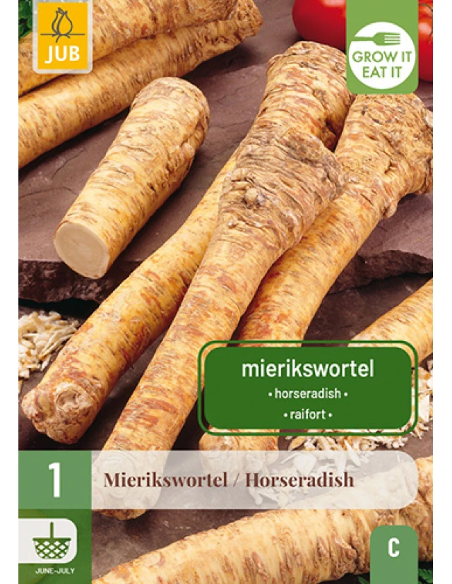 Hrean Armoracia Rusticana