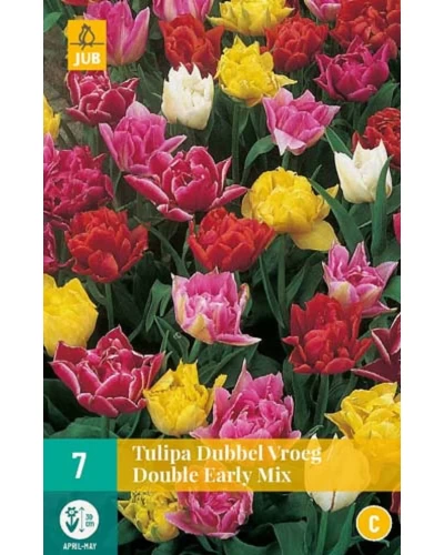 Lalele Double Early Mix 