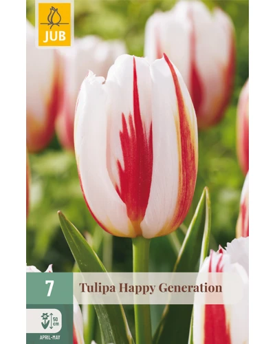 Lalele Happy Generation