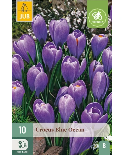 Branduse Blue Ocean
