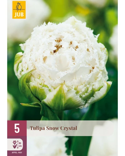 Lalele Snow Crystal