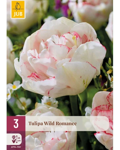 Lalele Wild Romance
