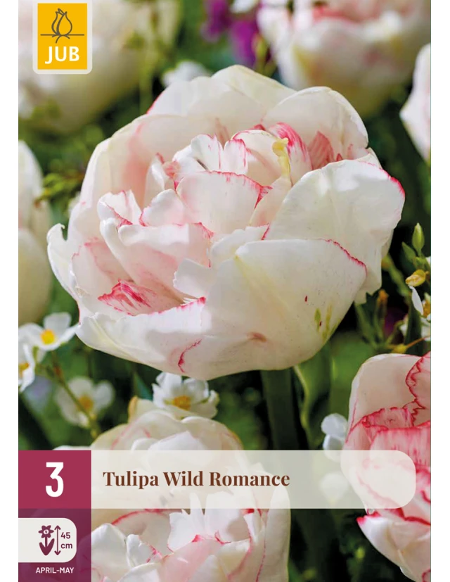 Lalele Wild Romance