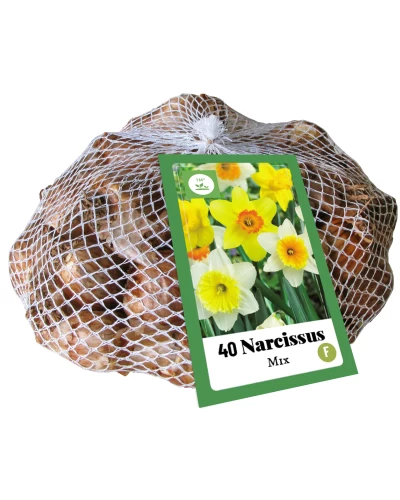 Narcise Mix 