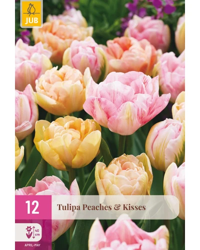 Lalele Peaches & Kisses