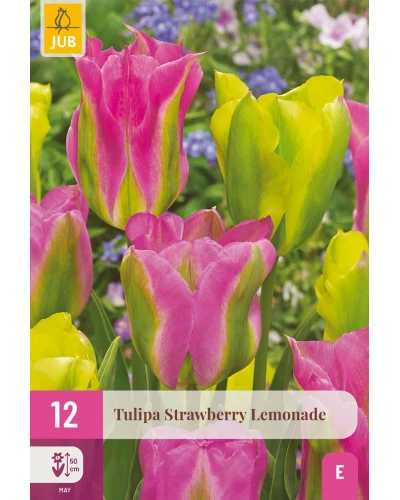 Lalele Strawberry Lemonade