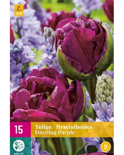 Mix Bulbi Lalele & Zambile Spaniole Dazzling Purple