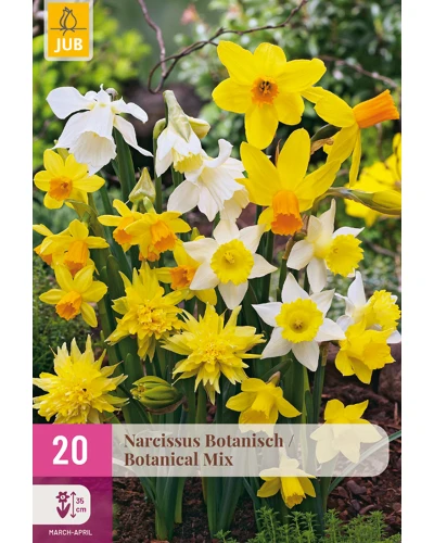 Narcise Botanical Mix