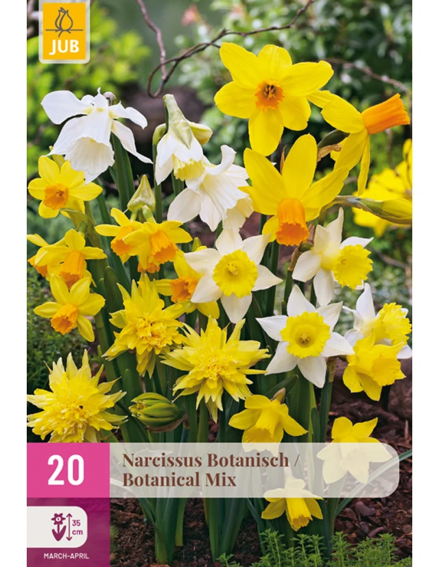 Narcise Botanical Mix