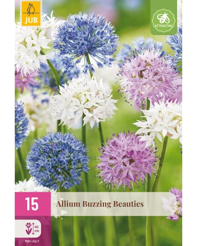 Allium Buzzing Beauties