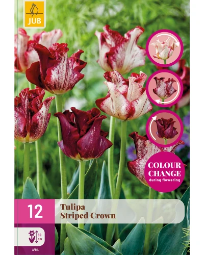 Lalele Changing Colors Striped Crown