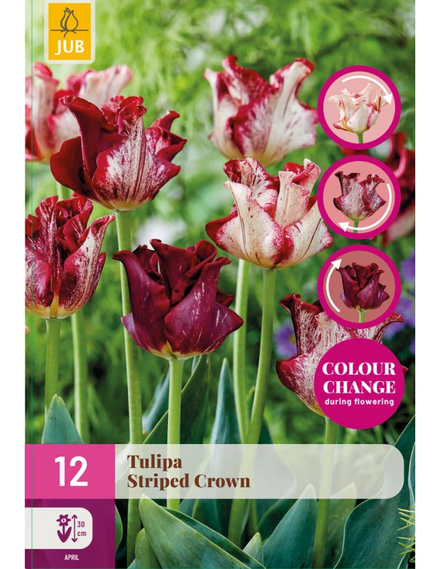 Lalele Changing Colors Striped Crown