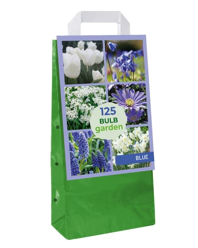 Bulbi de primavara Blue Garden Mix 