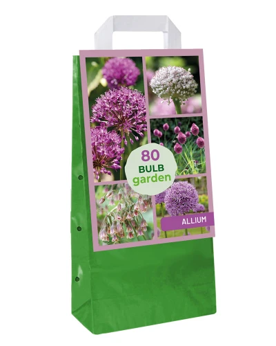 Allium Garden Mix 