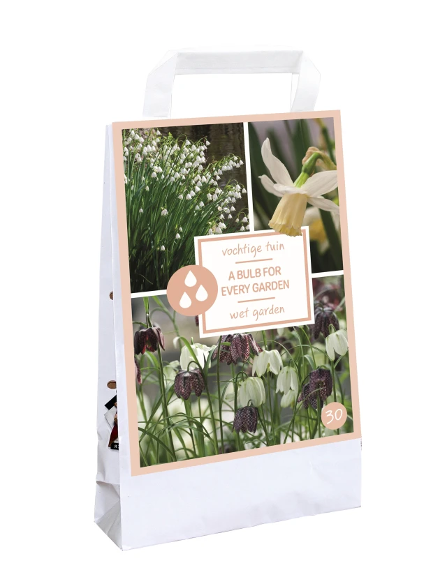 Bulbi de primavara A Bulb for Every Garden - Wet Garden Bulbi de primavara A Bulb for Every Garden - Wet Garden