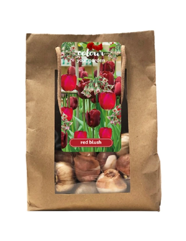 Bulbi de primavara Colour your Garden Red Blush Bulbi de primavara Colour your Garden Red Blush