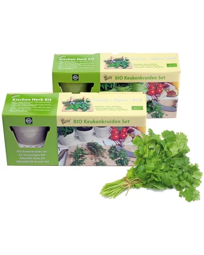 Mix de plante aromatice Organic Kitchen Herbs