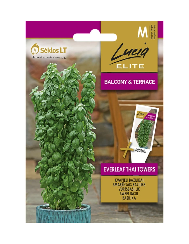 Seminte Busuioc Thai