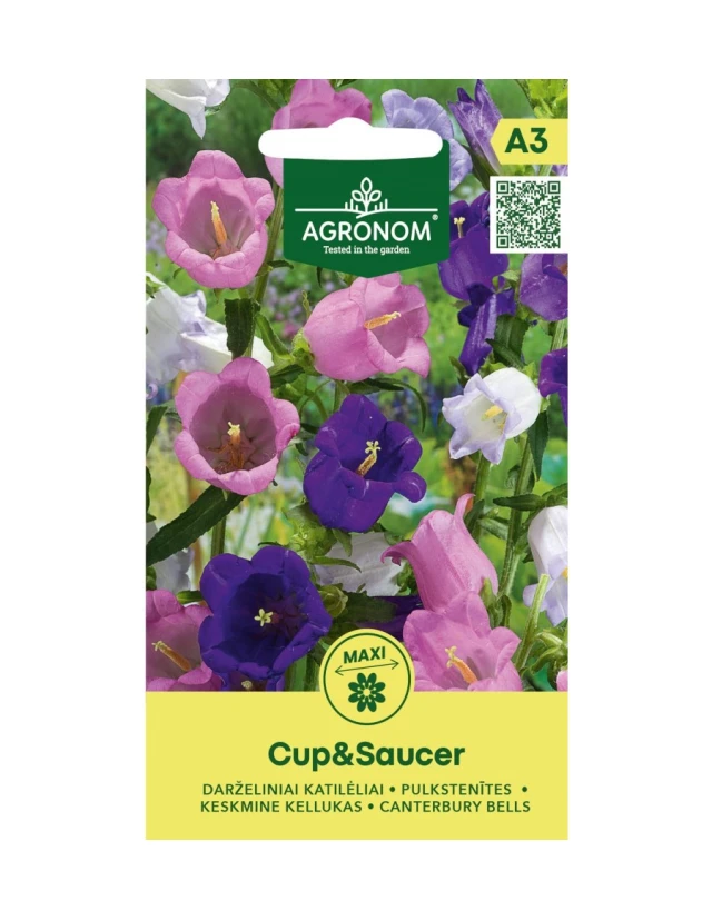 Campanula Cup & Saucer 