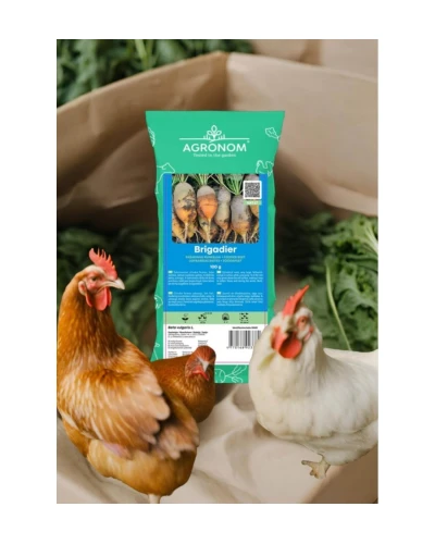 Sfecla furajera Brigadier