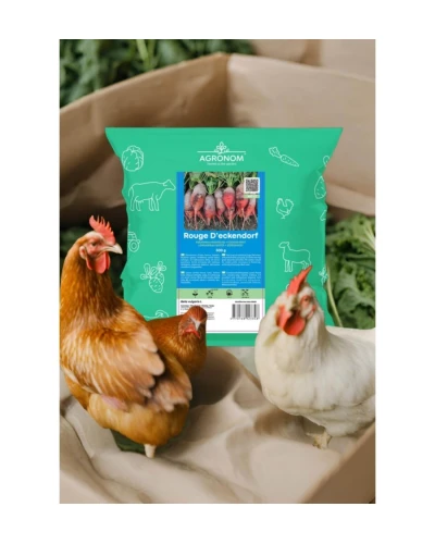 Sfecla furajera Rouge D'Eckendorf